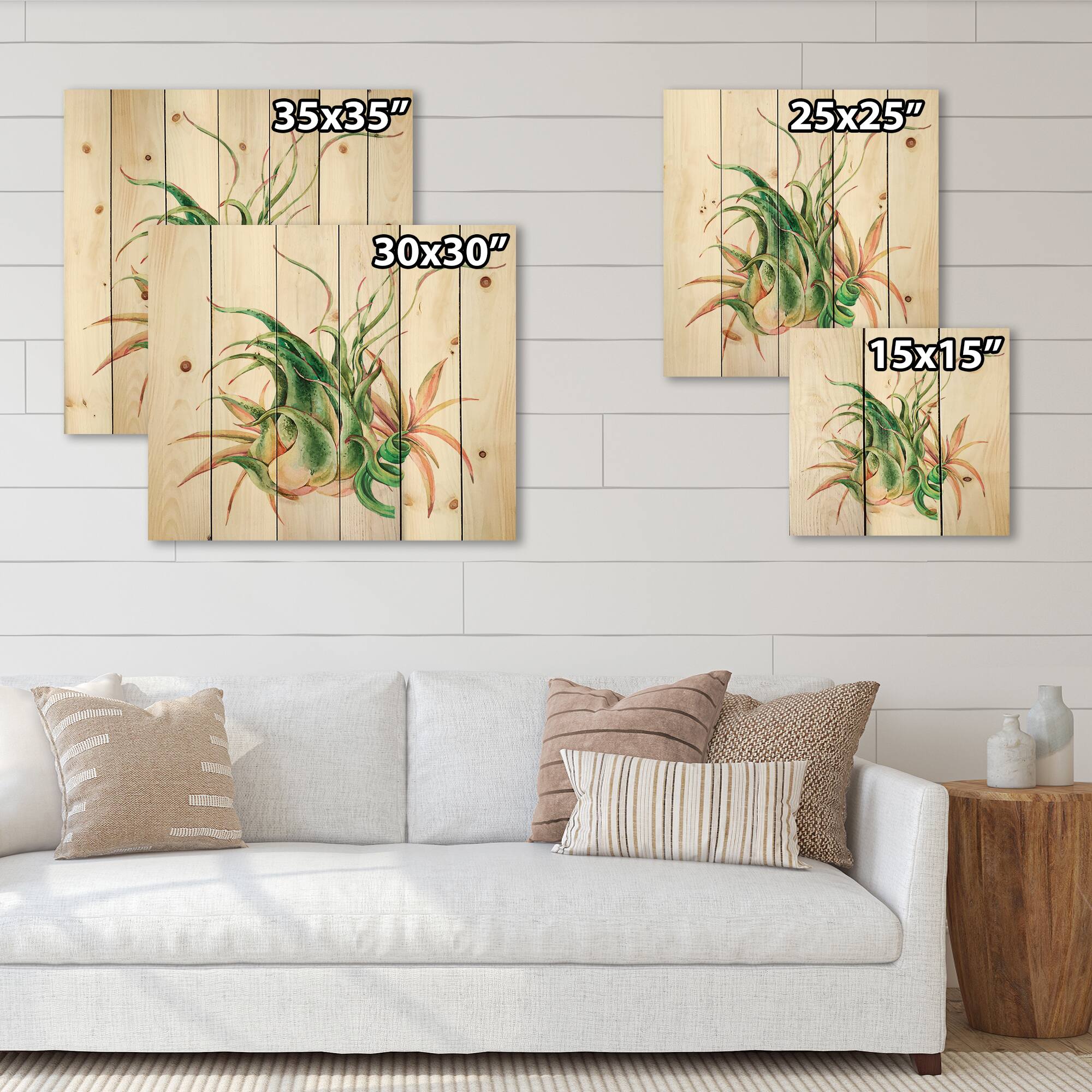 Designart - Tropical Leaves Air Plant Succulent